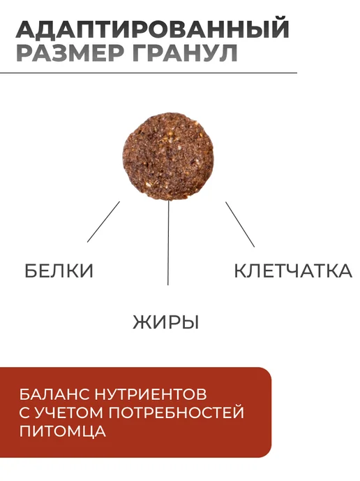 Сухой корм MONGE Монж для собак, взрослые, мелкие, 2,5 кг, фото 2