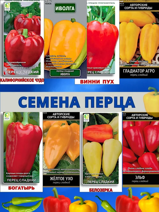 Wildberries 221574954 Wildberries 221574954