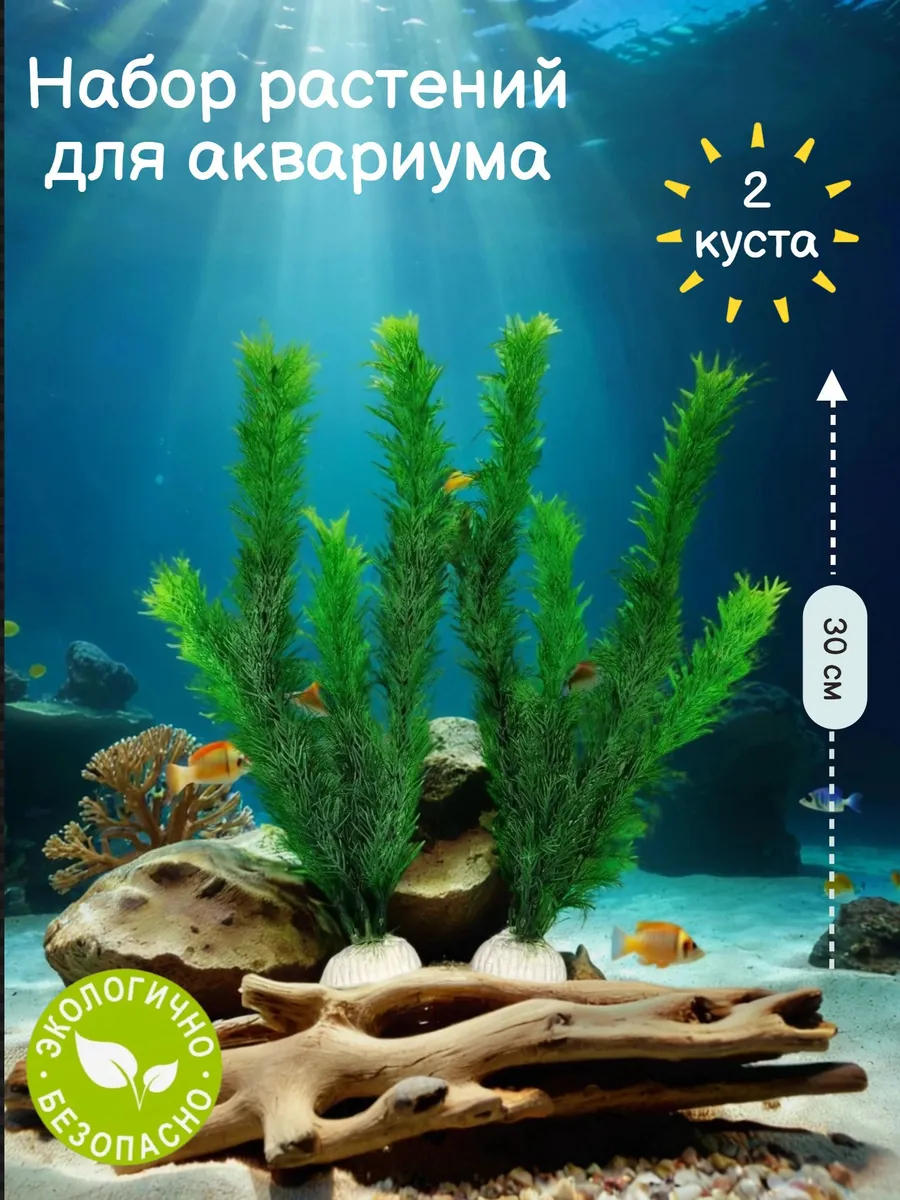 Растения в аквариум искусственное роголистник
