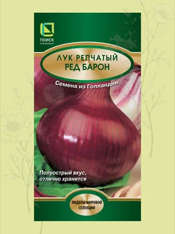 Семена лука репчатого Ред Барон Поиск 290732467 купить за 117 ₽ в интернет-магазине Wildberries