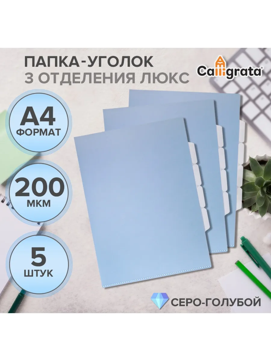 Набор папок уголков, А4, 200 мкм, 5 штук, TOP Bre