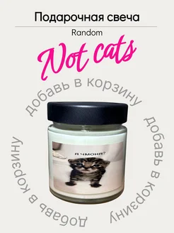 Подарочная свеча Not cats 290925240 купить за 363 ₽ в интернет-магазине Wildberries