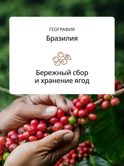 DeLonghi Кофе в зернах Milk selection blend 250 г, 250 г, фото 4