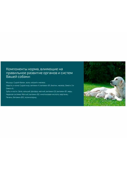 Сухой корм All Dogs Кура Puppies для собак, щенки, 2,2 кг, фото 2