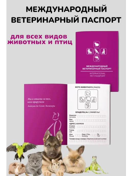 Паспорт ветеринарный международный 5 шт, 1 шт, фото 3
