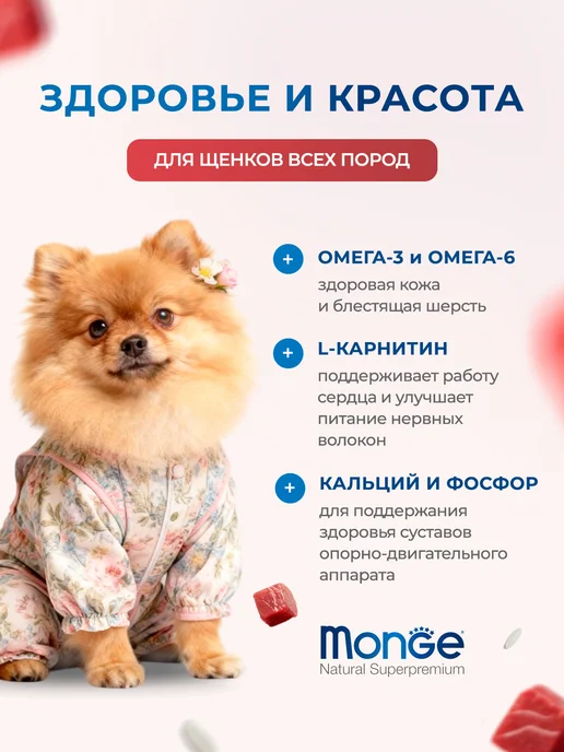 Сухой корм MONGE Speciality Line для собак, щенки, ягненок, 12,3 кг, фото 2