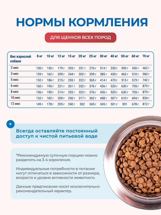 Сухой корм MONGE Speciality Line для собак, щенки, ягненок, 12,3 кг, фото 7