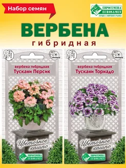 Семена цветов вербена гибридной Евросемена 291334779 купить за 270 ₽ в интернет-магазине Wildberries