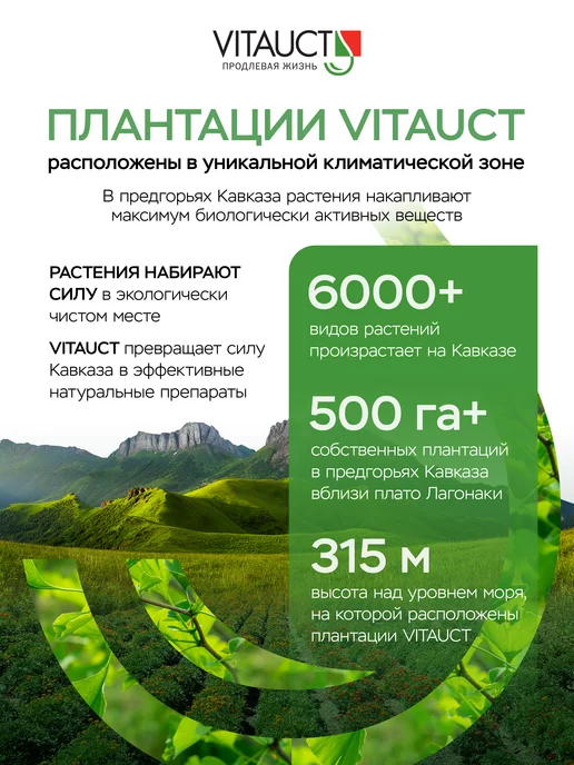 VITAUCT Спрей для носа Золотое созвездие ВИТАУКТ, золотой, фото 8