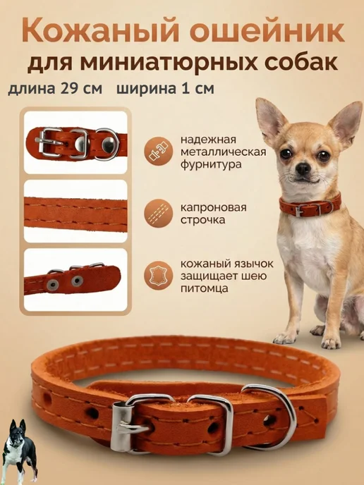 Надежный Малыш Ошейник для собак мелких пород кожаный, оранжевый, фото 2