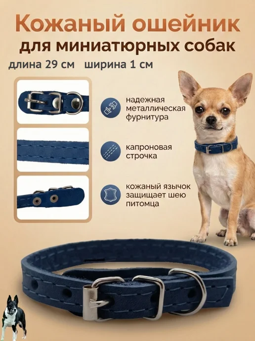 Надежный Малыш Ошейник для собак мелких пород кожаный, синий, фото 2