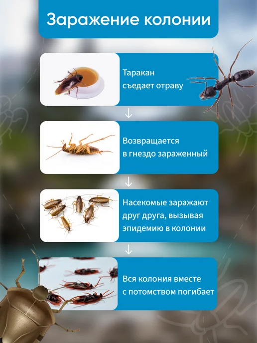 Ninger Средство от тараканов эффективное отрава, вариант, фото 2
