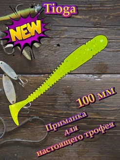 Силиконовая приманка Tioga 100 мм chartreuse Angry Fish 291523414 купить за 204 ₽ в интернет-магазине Wildberries