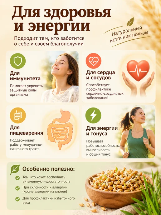 Злаки Сибири Зёрна пшеницы для проращивания 500 г, 500 г, 3 шт, фото 2