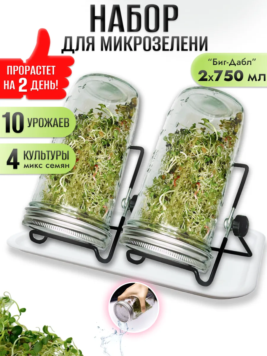 Микрозелень набор для выращивания