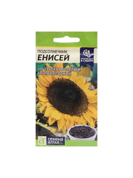 Семена Подсолнечника Енисей Купить