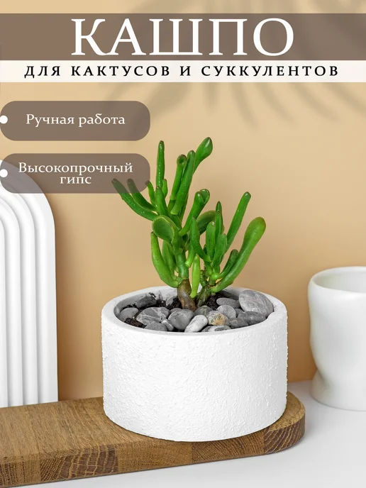 MI CASA Кашпо для кактусов и суккулентов, белый, фото 2