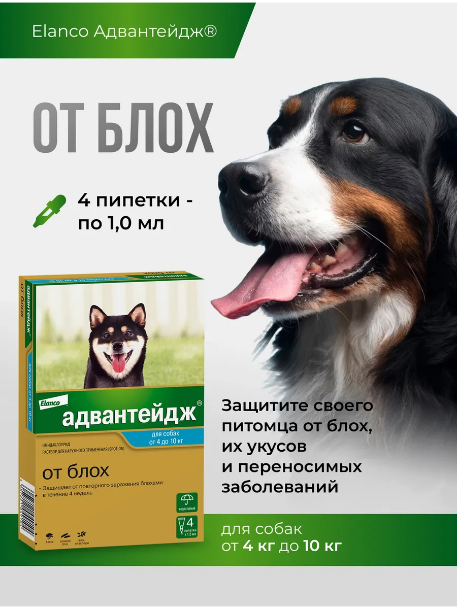 Адвантейдж для собак массой от 4 до 10 кг, 4 пип