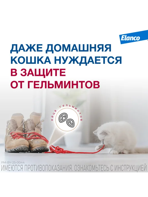 Elanco Мильбемакс таблетки от глистов для кошек, 2 табл. 4 10 мг, вариант, фото 2