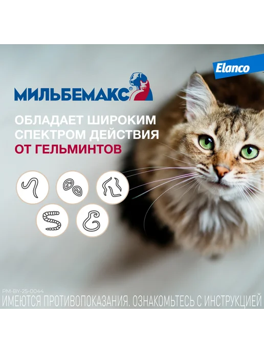 Elanco Мильбемакс таблетки от глистов для кошек, 2 табл. 16 40 мг, вариант, фото 3