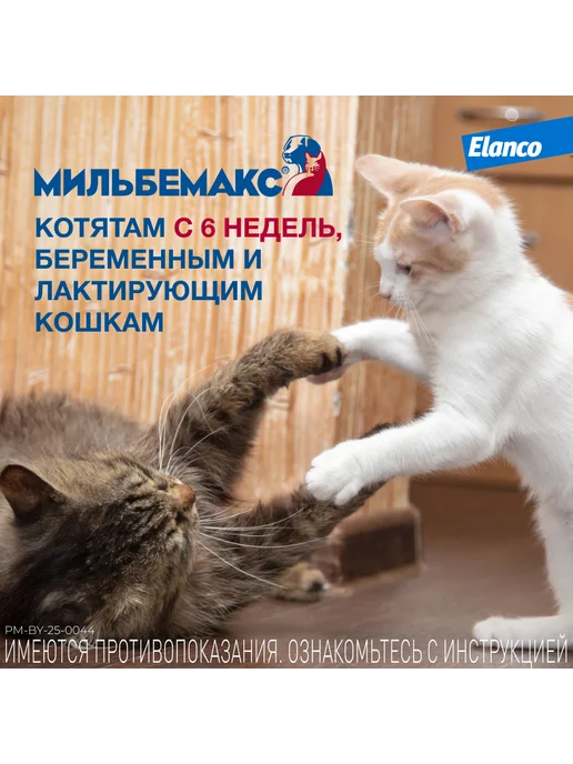 Elanco Мильбемакс таблетки от глистов для кошек, 2 табл. 16 40 мг, вариант, фото 5