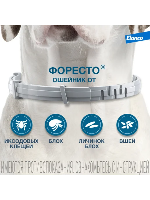 Elanco Форесто, ошейник для собак менее 8 кг, от клещей и блох, 8 кг, фото 2