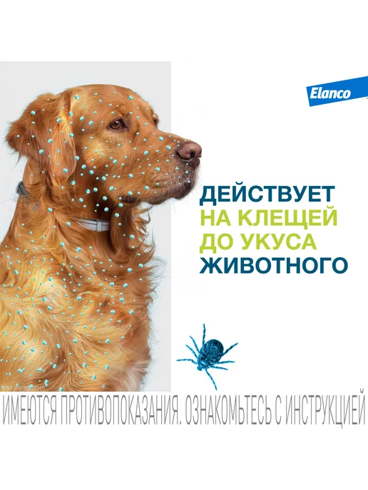 Elanco Форесто, ошейник для собак менее 8 кг, от клещей и блох, 8 кг, фото 3