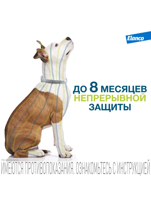Elanco Форесто, ошейник для собак менее 8 кг, от клещей и блох, 8 кг, фото 6