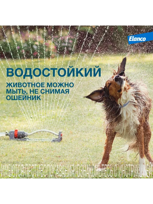 Elanco Форесто, ошейник для собак менее 8 кг, от клещей и блох, 8 кг, фото 7