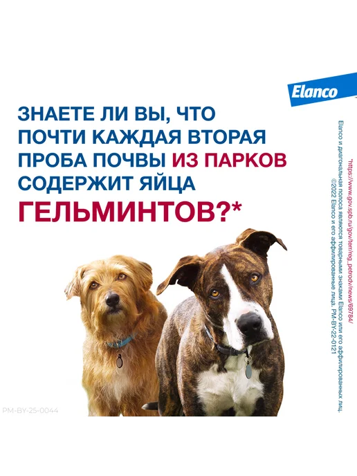 Elanco Мильбемакс таблетки от глистов для собак, 2 табл. 12,5 125мг, вариант, фото 2