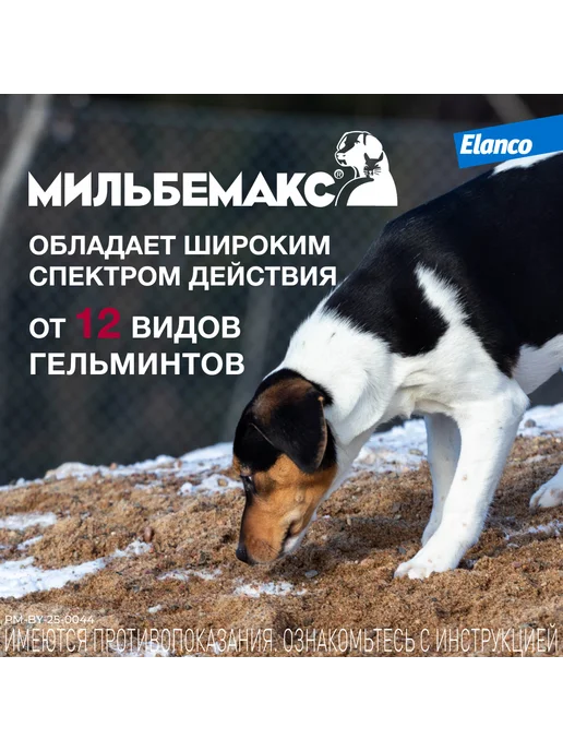 Elanco Мильбемакс таблетки от глистов для собак, 2 табл. 12,5 125мг, вариант, фото 3