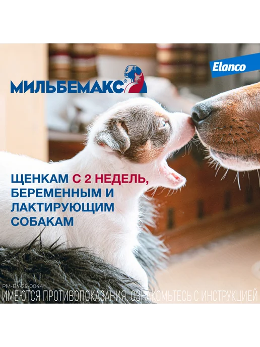 Elanco Мильбемакс таблетки от глистов для собак, 2 табл. 12,5 125мг, вариант, фото 5