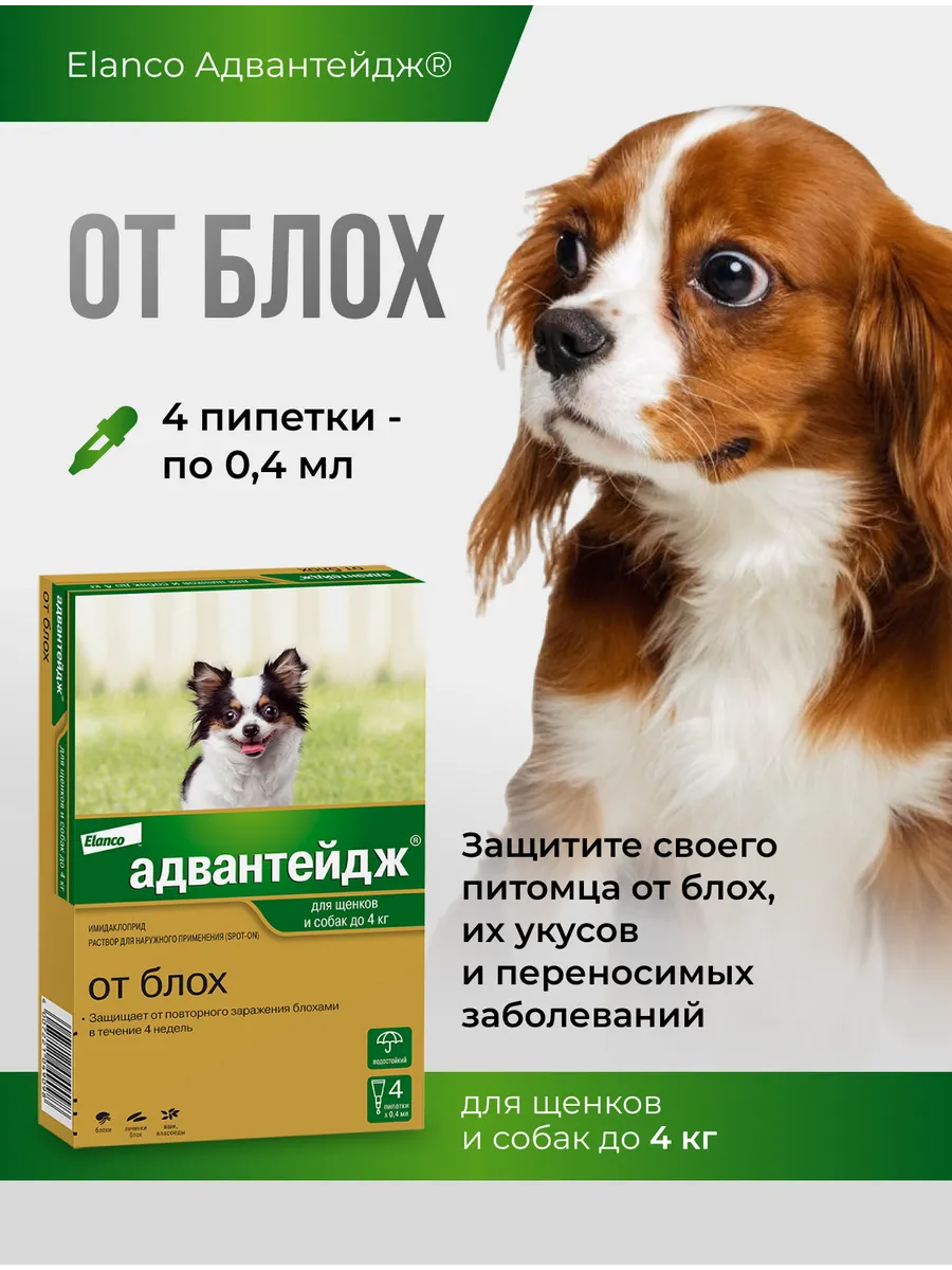 Адвантейдж для собак массой до 4 кг, 4 пип