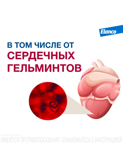 Elanco Мильбемакс таблетки от глистов для собак, 2 табл. 2,5 25 мг, вариант, фото 4