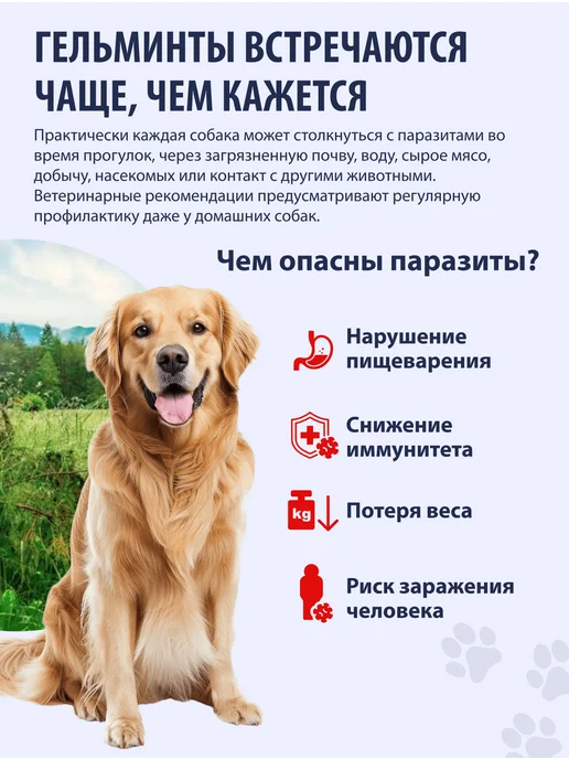 KRKA Милпразон таблетки от глистов для собак более 5 кг, 2 табл, 5 кг, фото 2