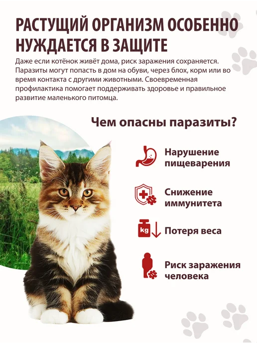 KRKA Милпразон таблетки от глистов для котят, 2 табл, вариант, фото 2