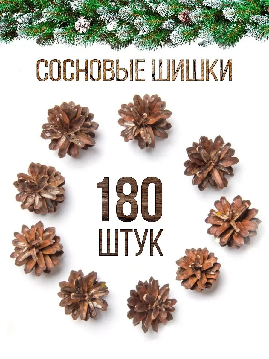 Сосновые шишки...