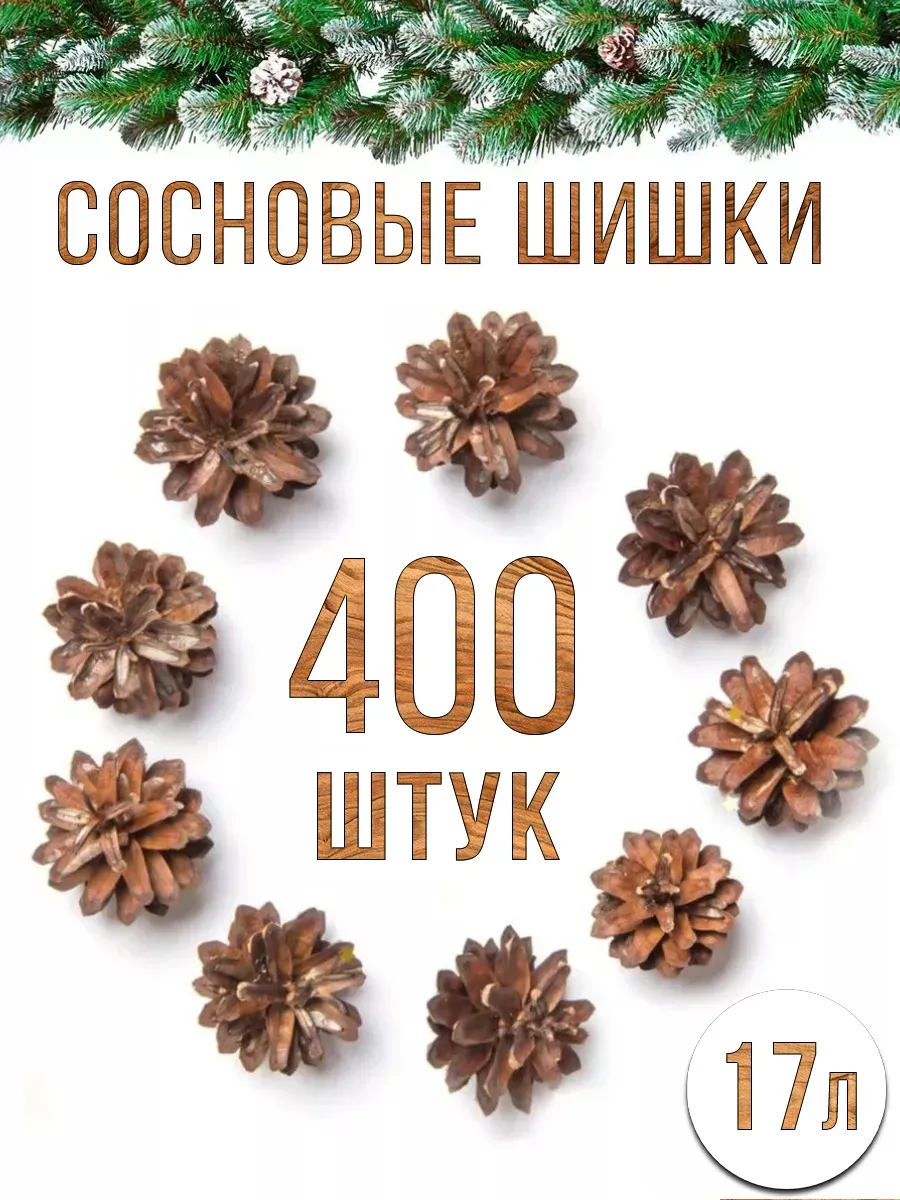Сосновые шишки...