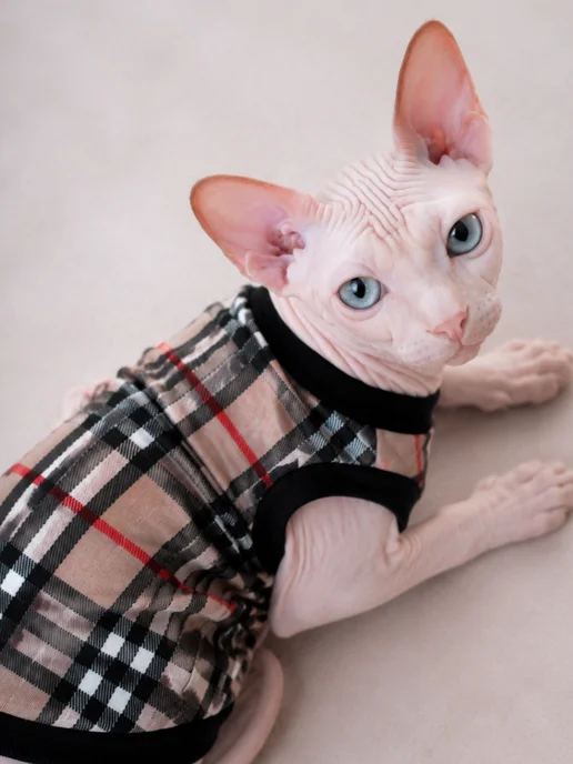 MEOWme Одежда для кошек Майка, вариант, фото 3