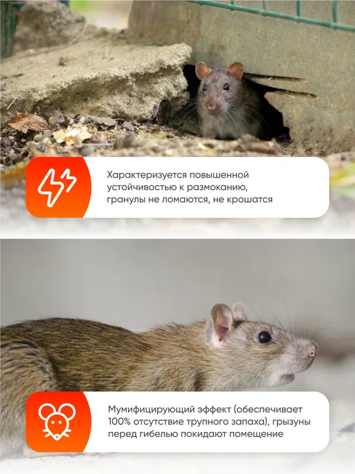 Ваше Хозяйство Гранулы от грызунов Ратобор 100 г, 100 г, фото 2