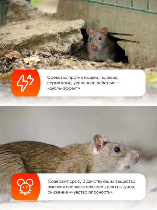 Ваше Хозяйство Зерновая приманка от грызунов Супермор 105 г, 105 г, фото 2