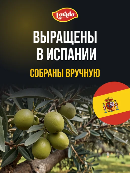 lorado Оливки без косточки 4 банки, зеленый, фото 3