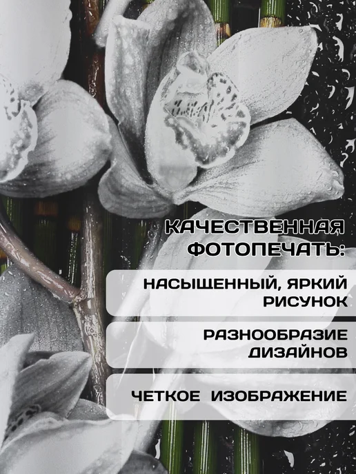 ТамиТекс Фотошторы 290х265 м для гостиной в спальню длинные, вариант, фото 7