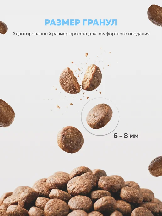 Сухой корм ЗООГУРМАН Starter для собак, щенки, 0,6 кг, фото 3