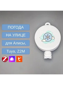 Уличный ZigBee датчик температуры и влажности ООО "ПУШОК ХАРДВАРЕ" 293506863 купить за 1 444 ₽ в интернет-магазине Wildberries