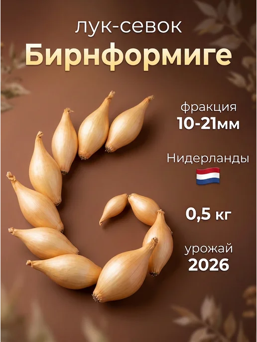 BelGarden Лук севок озимый Бирнформиге на зелень и репку, зеленый