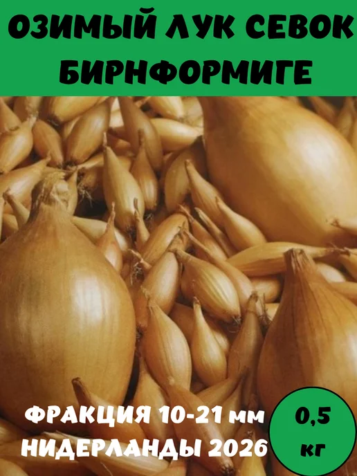 BelGarden Лук севок озимый Бирнформиге на зелень и репку, зеленый, фото 6