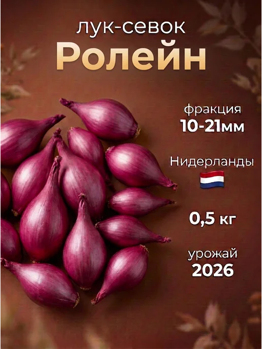 BelGarden Лук севок красный озимый Ролейн на зелень и репку, зеленый