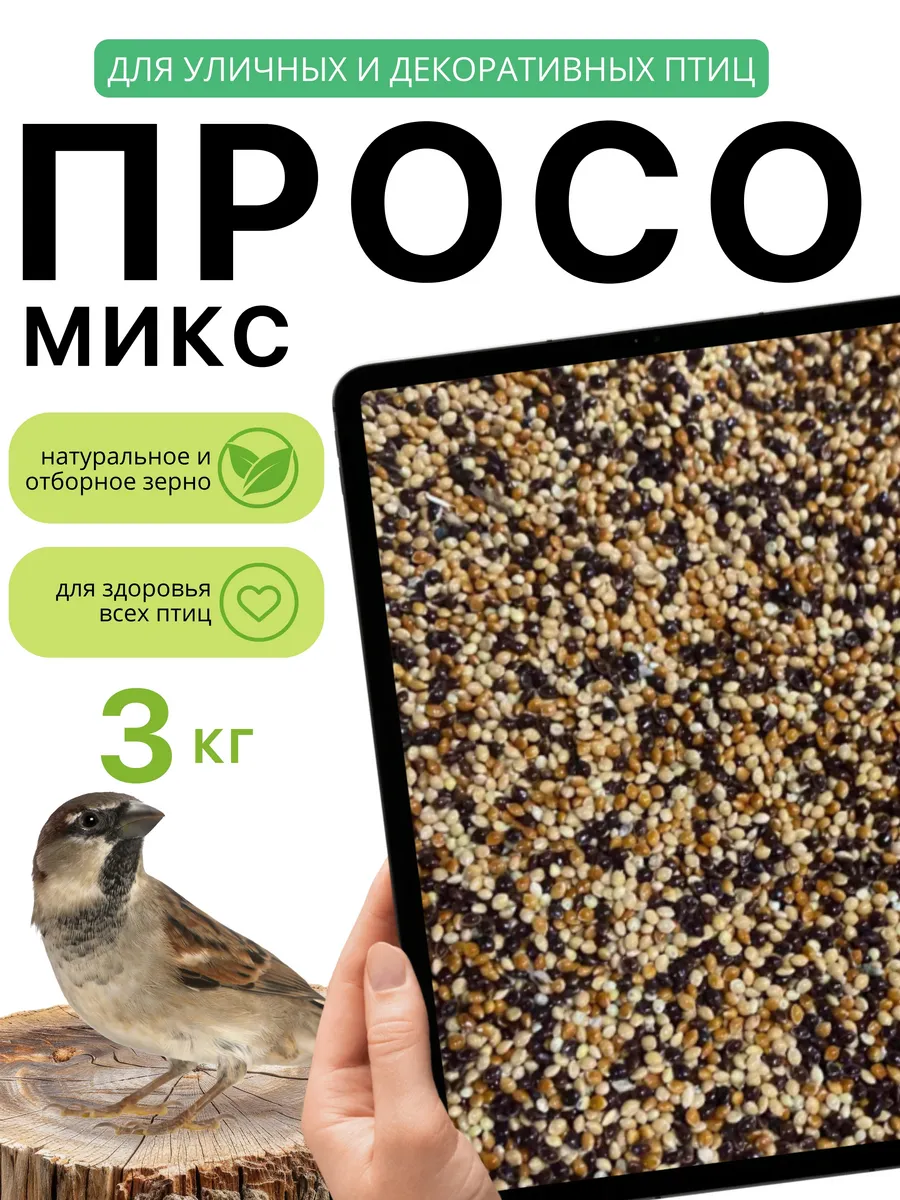 Просо желтое красное черное для попугаев птиц грызунов 3кг