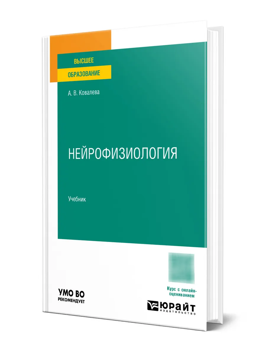 Нейрофизиология
